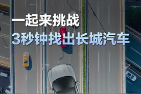 #长城汽车 躲猫猫时间到！你能闯过几关？@长城炮@欧拉ORA @坦克SUV #躲猫猫眼力挑战 视频封面