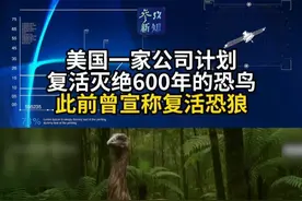 美国一家公司计划复活灭绝600年的恐鸟 此前曾宣称复活恐狼#恐狼 #恐鸟视频封面