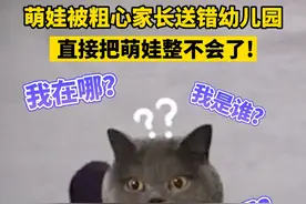 确定是亲生的！15日安徽，萌娃竟被粗心家长送错幼儿园，独自玩耍被老师发现后联系民警，最终民警找到孩子家人并让其接走！视频封面