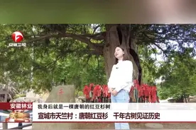 探访安徽古树名木保护 【唐朝红豆杉、百年石榴园...探访安徽古树名木保护】今年3月15日起实施的《古树名木保护条例》，是我国首次以行政法规的形式，明确古树名木保护管理工作。目前，安徽省共有古树名木36666株，仅去年一年，全省就修复树龄500年以上的一级古树名木87株。保护古树名木功在当下，利在千秋。#我们的绿水青山 #古树 #古树名木