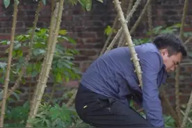 奶奶今天刚刚补了牙，吃点容易嚼的，弄个下午茶，于是我用木薯做了三种吃法，不知道你吃过几种？#抖音乡村生活家 #新农人计划2022 #跟着抖音学做菜