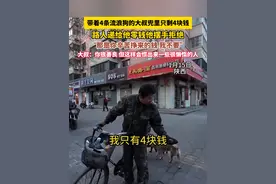 带着4条流浪狗的大叔兜里只剩4块钱，在他饥肠辘辘时路人递给他零钱他摆手拒绝“那是你辛苦挣来的钱 我不要”视频封面