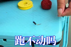 大炮铅你值得拥有 #出发吧伟大的钓手视频封面