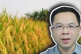 科幻变成现实，中国科学家开始用大米造血 #稻米造血 #科技启示录视频封面