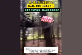 第一次见到麋鹿跳跃，这令人惊叹的跳跃能力，网友：难怪圣诞老人会选它，原来它真的会飞。#动物 #跳跃 来源：TikTok视频封面