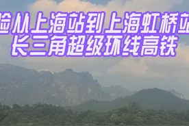 体验从上海站到上海虹桥站的长三角超级环线高铁 #G8388视频封面