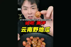 这么贵的果子真的很多人没有见过吗？它吃起来是什么味道？ #野地瓜 #测评 #试吃 #星仔实测