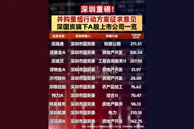 深圳重磅！并购重组行动方案征求意见，深国资旗下A股上市公司一览（记者：南深 牛思若）#并购重组 #A股视频封面