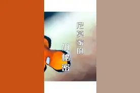 原来，“尼莫”的爸爸可以变成妈妈#涨知识了 #小丑鱼 #小丑鱼尼莫 #海底总动员 #科普海洋 #长沙海底世界 视频封面