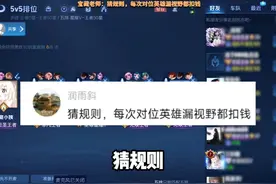 隐藏规则，对位英雄漏视野，陪玩就扣钱！   #王者荣耀视频封面