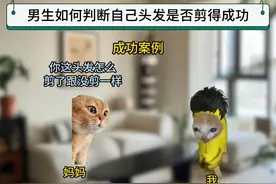 男生如何判断自己头发是否剪得成功 #猫meme #男生发型 #真实还原