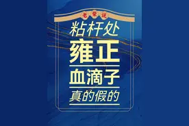 粘杆处和血滴子是不是一回事？雍正为什么喜欢密折？ #雍正 #粘杆处 #血滴子 #密折 #清朝那些事视频封面