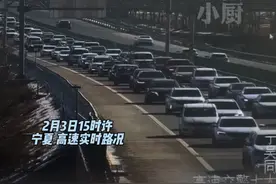 春节假期临近尾声，宁夏多处高速路段出现返程小高峰。其中，京藏高速青铜峡至叶盛段“双向”车流量持续增大，每小时车流量已达5700余辆。#宁夏  #高速行车安全  #返程高峰