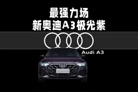 极光照在车身上，新奥迪A3帮你实现了 #汽车 #新奥迪A3 #极光紫