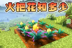 是嗅探兽最喜欢的火把花！快来和村村分享MC冷知识吧~ #你想玩的这里都好  #我的世界  #我的世界Minecraft  #我的世界中国版