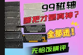 低价磁轴大乱斗！到底哪把才是99档位的真神？ #美加狮mad60he视频封面