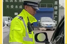 违停被通知驶离还不听劝 结局亮了