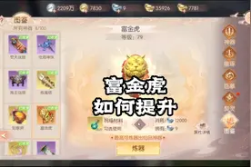 神器富金虎该如何提升？#手游攻略 #完美世界视频封面