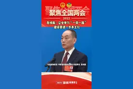 詹纯新：企业参与“一带一路”建设要进一步本土化#2022全国两会 视频封面