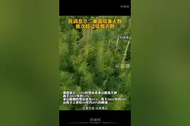 民调显示：美国吸毒人数首次超过吸烟人数视频封面