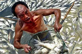 地球上“最肮脏”的10种淡水鱼鱼，第一名靠吃粪便长大 #神奇动物在抖音 #海洋生物 #奇闻趣事 #科普 #涨知识视频封面