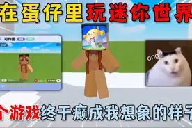 蛋仔派对：在蛋仔里玩迷你世界？这个游戏终于癫成我想象的样子了