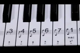 钢琴88/61/54透明电子琴键盘贴五线谱简谱音标音符琴键贴初学入门