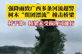 6月15日，受台风“蝴蝶”影响，广西多地强降雨致多条河流超警，北流市北流镇龙安桥被上游冲下来的大量树木冲击。当地一名村干部称，初步核实桥梁未受损，无人员伤亡。#台风蝴蝶