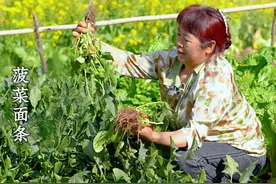 菠菜榨汁做的菠菜面，一个人可以吃两大碗 口感筋道，回味还有菠菜的甜#春天的美食来自田野 #我的乡村生活 #农村美食 #菠菜面条