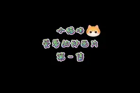 第一集，专门给猫看的动画片#猫咪动画片 #猫咪 #萌宠