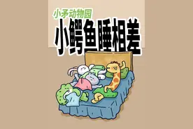 【小矛动物园】小鳄鱼睡相差，有多差呢？ 【小矛动物园】小鳄鱼睡相差，有多差呢？#脑洞大开 #意不意外 #可爱