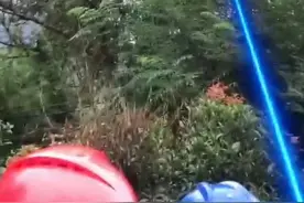研发公司回应“激光炮剪树枝”， 视频用了特效，实际肉眼看不到激光，剪断直径10厘米树枝需1分钟
