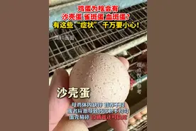 转给家人！#如果家里的蛋有这些症状千万要小心  !（供稿：老爸评测）视频封面