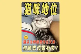 😻猫从哪睡看感情|5种位置透露关系㊙️ 💑 从睡觉位置解读猫咪心理，它把你当什么人？ 
👖 睡裤裆=把你当妈妈，安全感爆棚的最高信任 
🦶 睡脚边=保护者心态，它觉得需要守护你 
🤗 睡怀里抱手臂=好朋友，亲密平等的伙伴关系 
👑 睡头顶=把你当恋人，恨不得时刻亲密接触 
❤️ 睡胸口=踩奶咕噜是当妈，纹丝不动是当床 
📊 铲屎官测试：你家猫睡哪儿？快来评分主仆关系
﻿#新手养猫 ﻿ ﻿#养猫经验分享 ﻿ ﻿#猫咪行为学 ﻿ ﻿#猫咪的迷惑行为 ﻿ ﻿#养猫知识 ﻿ @抖音小助手
