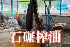 震撼！石碾在榨油中演绎古老技艺 震撼！石碾在榨油中演绎古老技艺  #制作过程   #花生油   #纯笨榨豆油  #榨油 #传统手艺