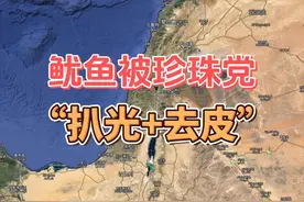 鱿鱼被珍珠党“扒光+去皮” #巴以冲突 #中东 #国际 #黎巴嫩