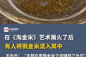 在《淘金米》艺术展火了后，有人将假金米混入其中，主办方：“艺术家知道后觉得挺有意思，主题在真假金米之间得到了升华”。视频封面