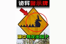 『诡异警示牌』湖泊中有龙形生物出没？是水怪？ #奇闻奇事视频封面