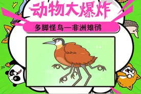 长着“6条腿”的变异怪鸟，它是《山海经》里的异兽原型吗？ #动物科普 #冷知识 #涨知识视频封面