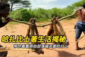 地球上唯一敢吃保护动物的原始部落，揭秘他们的生活日常，不敢想视频封面