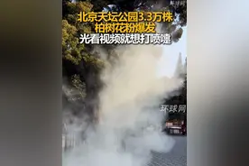 北京天坛公园3.3万株柏树花粉爆发，光看视频就想打喷嚏视频封面