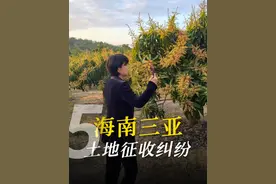 高瑜律师正在海南三亚出差，用法律帮百姓解决实质难题！ #土地征收   #征收补偿   #行政诉讼视频封面