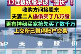 12连板妖股早被潜伏！收购方间接股东夫妻二人偷偷买了几万股，更有神秘买家抢先买入数千万！上交所已暂停账户交易