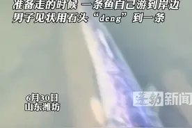 男子钓鱼许久都没鱼上钩，准备走的时候一条鱼自己游了过来，男子见状用石头“deng”到一条#万万没想到 #这操作都看傻了 #热点 （来源：@强哥 ）视频封面