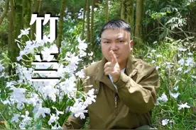 扁竹兰，又称鸢尾花。在我们这边还有一个很特别的名字“豆豉叶”。#你的家乡有这种植物吗 #一日一植物 #大山里的原生态 #深山老林走起来 #农村生活