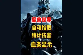 魔兽世界新人0基础攻略！怎么自动拾取，敌方血条显示！伤害统计怎么开启！#魔兽世界 #我们比你们多一个世界 #魔兽世界怀旧服