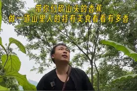 你们吃过吗？一颗芭蕉树只有一个芯用它来炒五花肉又香又好吃 #我的乡村生活 #芭蕉心炒肉 #大山里的味道  #乡村守护人 #乡村里的这些味道你值得拥有
