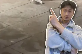 猫咪难产生不出怎么办？ 接生前必看 #猫咪难产 #接生小猫 #怀孕流浪猫 #救助流浪猫 #母猫生小猫