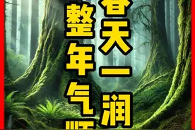 惊蛰：春天润，整年顺！ #传统文化 #健康 #好物推荐 #银耳羹视频封面
