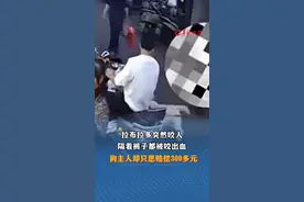 拉布拉多突然咬人
隔着裤子都被咬出血
狗主人却只愿赔偿300多元
（编辑：罗钧栋 张薇 实习生林曼佳；审签：郑紫薇）视频封面